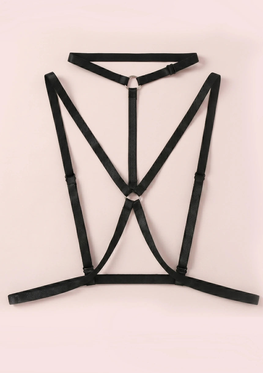 Klasyczny harness z chokerem
